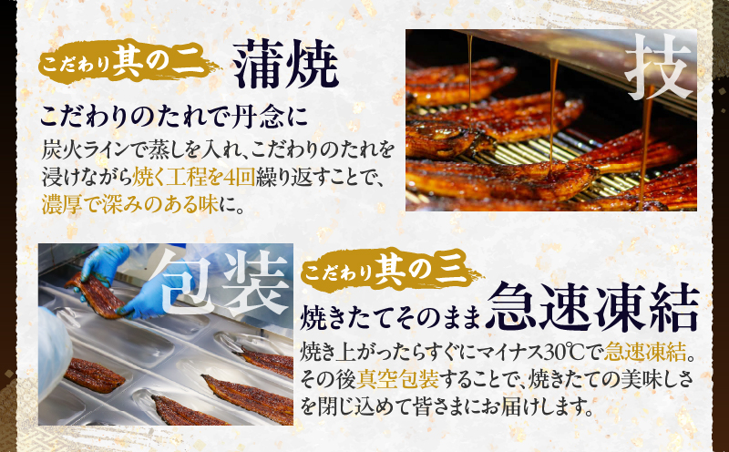 うなぎ蒲焼特大2尾(さんしょう・たれ付き)計380g以上 鰻 魚 魚介 加工品 国産_T026-0061