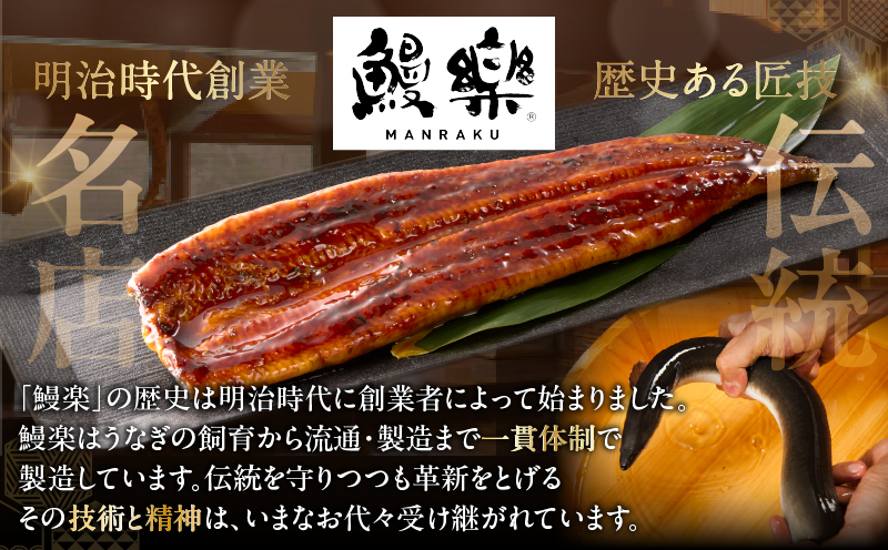 うなぎ蒲焼特大2尾(さんしょう・たれ付き)計380g以上 鰻 魚 魚介 加工品 国産_T026-0061