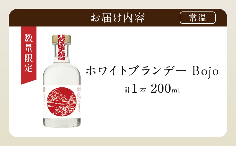 ãæ°ééå®ããã¯ã€ããã©ã³ããŒBojo(èš1æ¬) é
飲æ ã¢ã«ã³ãŒã« åœç£_T014-0175