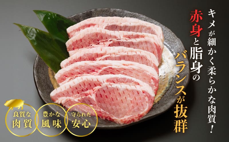 ≪宮崎ブランドポーク≫ロース(トンテキ・とんかつ用)計1kg 肉 豚 豚肉 国産_T023-0115