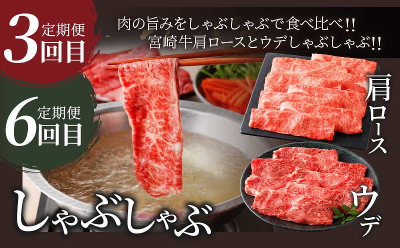 6ãæã楜ãã¿å®æäŸ¿ãå®®åŽçããã°ãã»ãããç·éé4.8kg è ç çè ããã åœç£_T030-1848