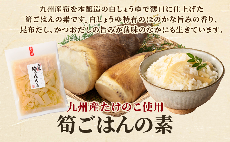 ＼ポスト投函／筍ごはんの素（2合用）漬物 おかず 野菜 加工品 国産_T037-0131