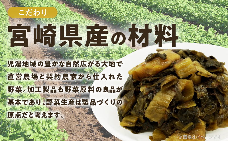 ＼ポスト投函／こだわり辛子高菜(PURE) 計1袋 (80g) 漬物 おかず 野菜 加工品 国産_T025-019