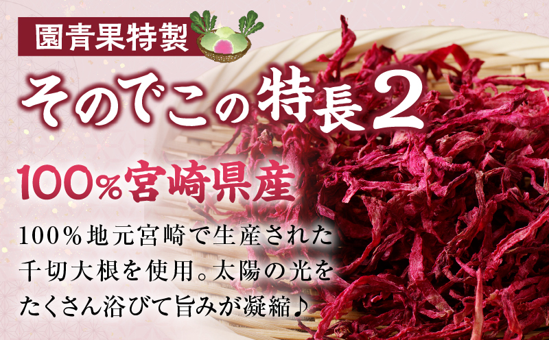【2週間以内発送】≪宮崎県産≫切干大根(紅芯大根-そのでこ-)計10袋 野菜 加工品 国産_T003-011