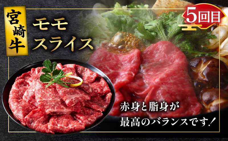 6ãæã楜ãã¿å®æäŸ¿ãå®®åŽçã¹ãã·ã£ã«6çš®ã»ãããç·éé4.6kg è ç çè çŒè åœç£_T009-0022