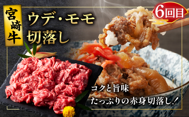 6ãæã楜ãã¿å®æäŸ¿ãå®®åŽçã¹ãã·ã£ã«6çš®ã»ãããç·éé4.6kg è ç çè çŒè åœç£_T009-0022