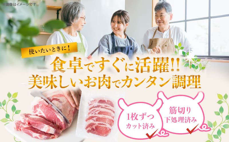 ≪宮崎ブランドポーク≫ロース(トンテキ・とんかつ用)計500g 肉 豚 豚肉 国産_T023-0105