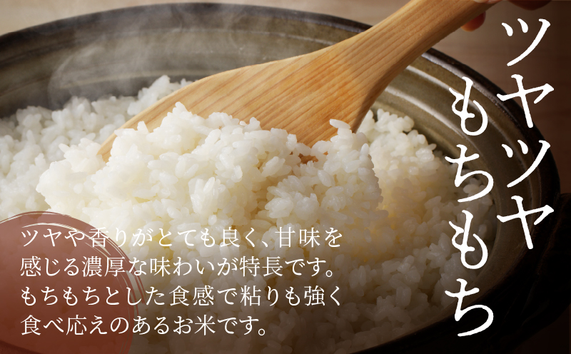 âªéœèŸ²çºç£â«æ°ç±³ã³ã·ãã«ãª(5kg) ç±³ ãç±³ ã飯 åœç£_T031-0015