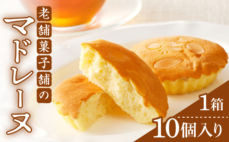 [2週間以内発送]老舗菓子舗のマドレーヌ計10個 焼き菓子 スイーツ 詰め合わせ 洋菓子