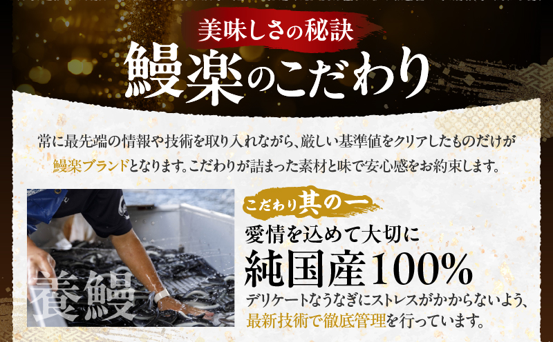 うなぎ蒲焼特大2尾(さんしょう・たれ付き)計380g以上 鰻 魚 魚介 加工品 国産_T026-0061
