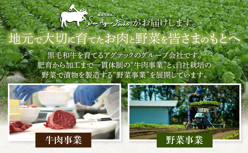 月数量限定≪訳あり≫黒毛和牛切り落とし（計500g） 肉 牛 牛肉 国産_T025-0375