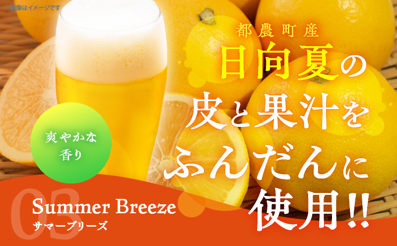 【2週間以内発送】都農クラフトビール詰め合わせ6本セット 酒 アルコール 飲料 国産_T016-0035
