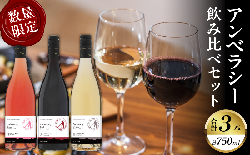 【数量限定】アンベラシー飲み比べ３本セット(レッド・ロゼ・ホワイト) 酒 飲料 アルコール 国産_T014-009
