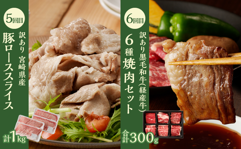 ≪6か月お楽しみ定期便≫都農町定期便(梅) 肉 加工品 デザート 国産_T999-0055