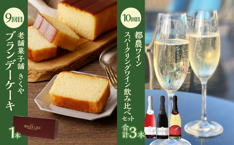 ≪12か月お楽しみ定期便≫都農町定期便(竹) 肉 加工品 デザート 国産_T999-0093