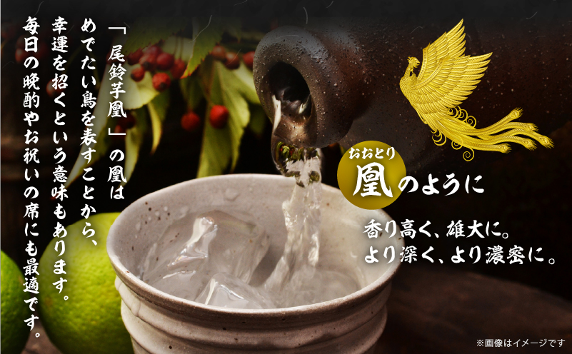 【2週間以内発送】幻の本格芋焼酎『尾鈴芋凰(おすずいもおう)』2本(25度) 酒 アルコール 飲料 国産_T016-0045