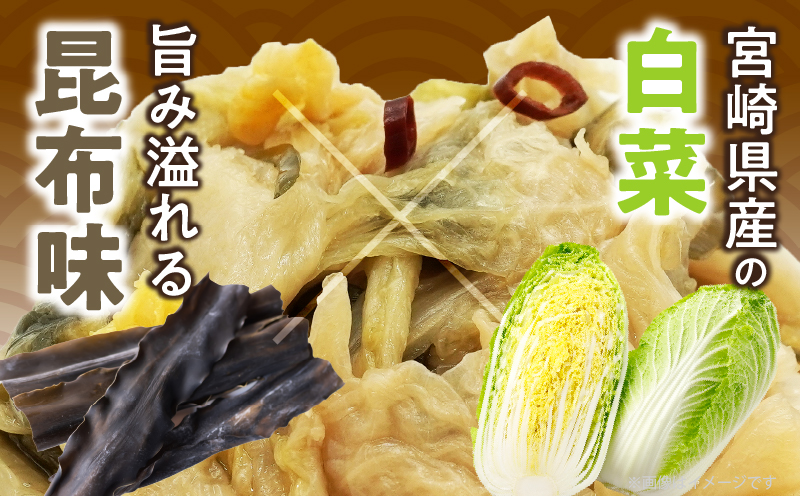 ＼ポスト投函／白菜古漬け（昆布味） 計1袋 (100g) 漬物 おかず 野菜 加工品 国産_T025-0235