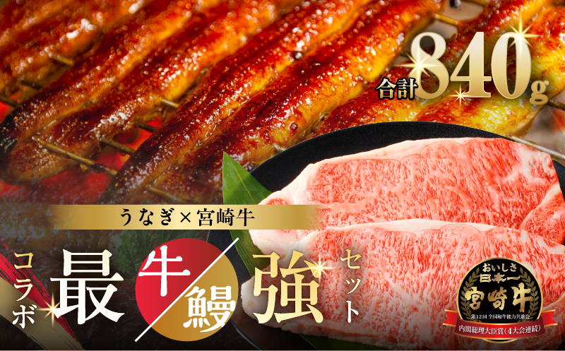 ≪数量限定≫うなぎ×宮崎牛 都農町最強セットA 肉 牛 牛肉 焼肉 国産_T030-1293
