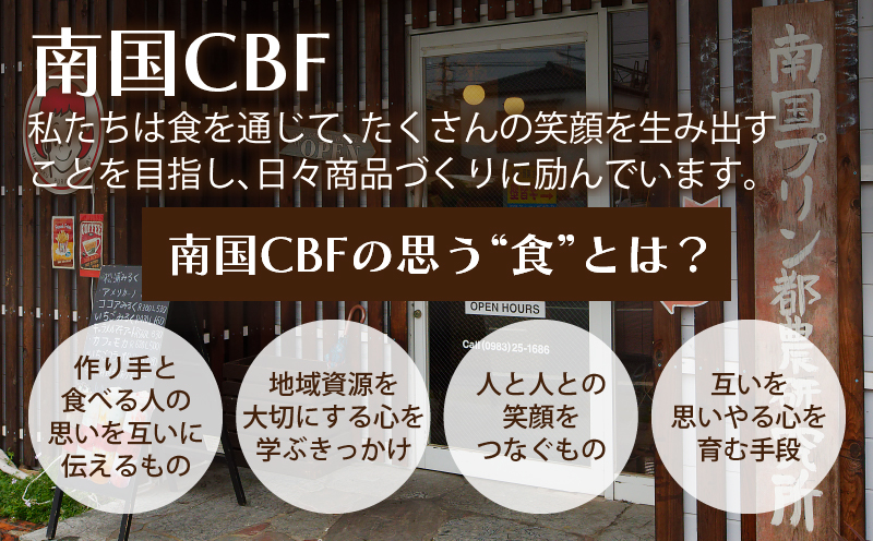 【2週間以内発送】＼ポスト投函／≪グルテンフリー≫米粉のチョコフィナンシェ(計2個) スイーツ お菓子 国産_T038-0145