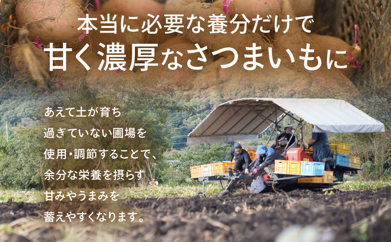 【2週間以内発送】幻の本格芋焼酎『尾鈴芋凰(おすずいもおう)』2本(25度) 酒 アルコール 飲料 国産_T016-0045