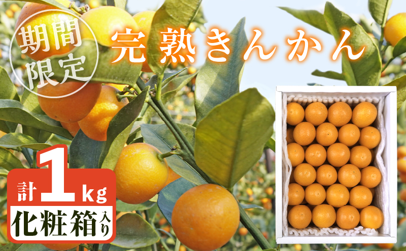先行予約≪数量限定≫完熟きんかん(計1kg) 化粧箱入り フルーツ 果物 柑橘 国産_T042-0021