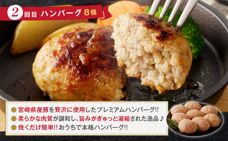 ≪3か月お楽しみ定期便≫BONLISSA食べ尽くし満喫セット(総重量2.2kg以上) ピザ ハンバーグ カヌレ 加工品 国産_T001-0161