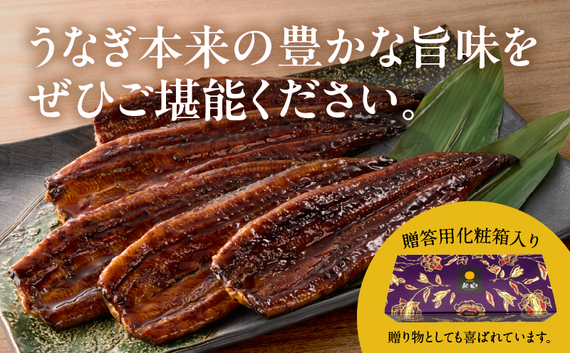 うなぎ蒲焼特大2尾(さんしょう・たれ付き)計380g以上 鰻 魚 魚介 加工品 国産_T026-0061