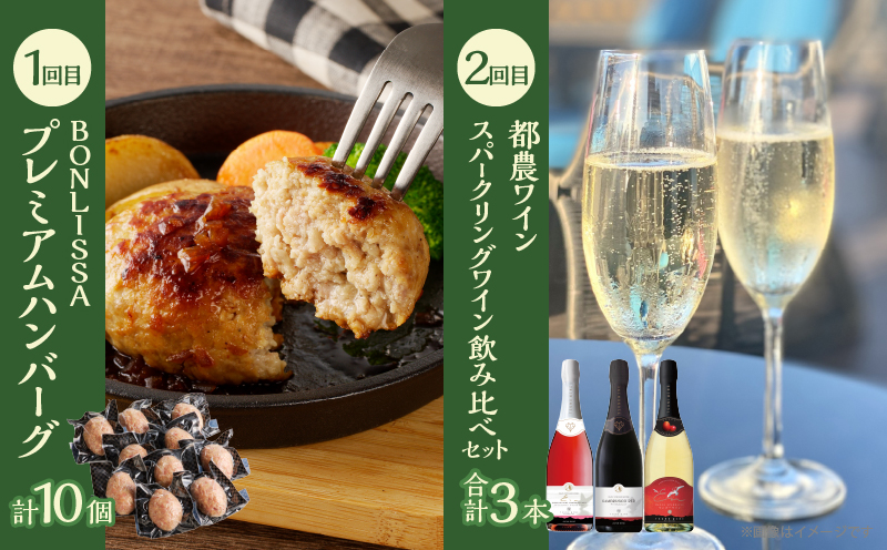 ≪6か月お楽しみ定期便≫都農町定期便(松) 肉 加工品 鰻 国産_T999-0073