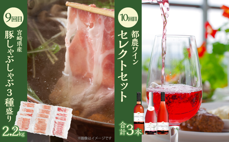 ≪12か月お楽しみ定期便≫都農町定期便(梅) 肉 加工品 デザート 国産_T999-0085