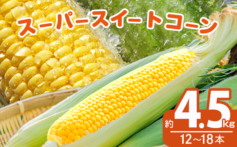 先行予約≪期間限定≫スーパースイートコーン(約4.5kg) とうもろこし 野菜 国産_T003-0045