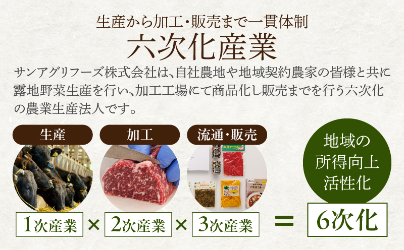 月数量限定≪訳あり≫黒毛和牛切り落とし（計500g） 肉 牛 牛肉 国産_T025-0375