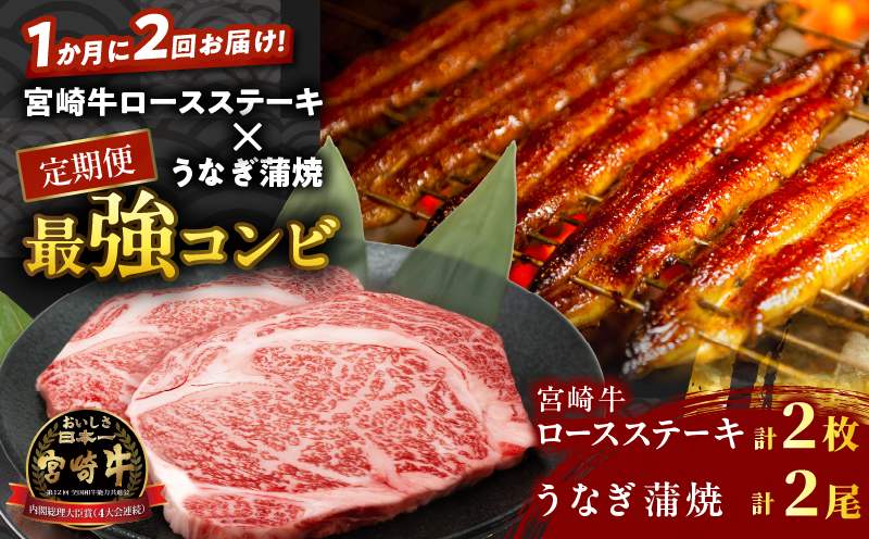 âªå®æäŸ¿â«ïŒŒ1ãæã«2åãå±ã!!ïŒå®®åŽçããŒã¹ã¹ããŒãÃããªãè²çŒâ
æåŒ·ã³ã³ã è çè é°» éä» åœç£_T999-0025