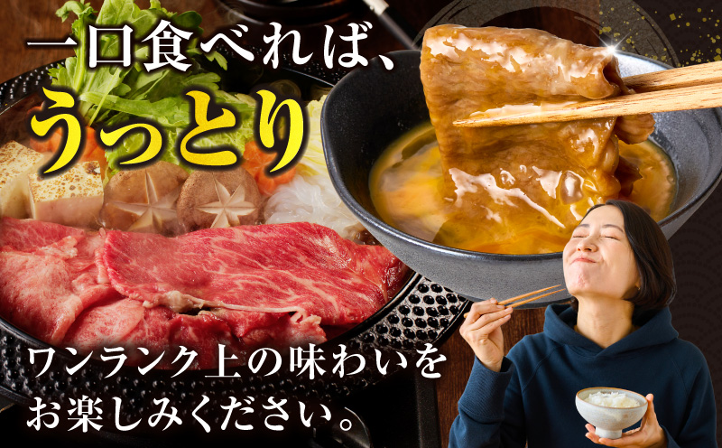 ≪肉質等級4等級以上≫黒毛和牛赤身スライス(計1kg) 肉 牛 牛肉 おかず 国産_T030-0893