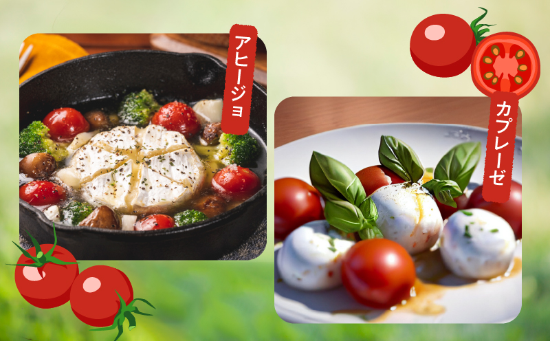 å
è¡äºçŽâªæééå®â«ãªãªãžãã«ãã©ã³ãããã«ãŒãããã ãããèš2kg ããããã éè ãµã©ã åœç£_T047-0041