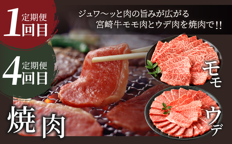 6ãæã楜ãã¿å®æäŸ¿ãå®®åŽçããã°ãã»ãããç·éé4.8kg è ç çè ããã åœç£_T030-1848