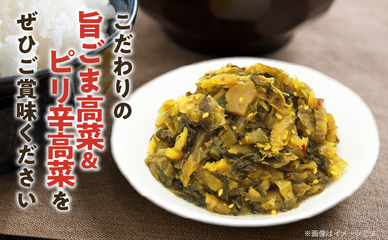 ＼ポスト投函／旨ごま高菜＆ピリ辛高菜セット 計2袋(各120g) 漬物 おかず 野菜 加工品 国産_T025-026