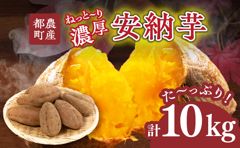 ≪期間限定≫都農町産安納芋(計10kg) 野菜 芋 イモ 国産_T016-0021