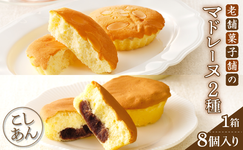 【2週間以内発送】老舗菓子舗のマドレーヌ2種セット(合計8個) 焼き菓子 スイーツ 詰め合わせ 洋菓子_T035-0051