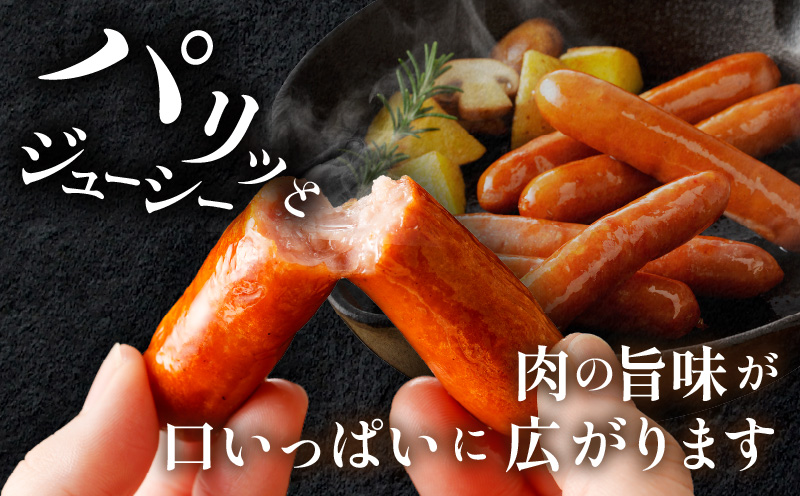 都農ファーム厳選「ウインナー・ハム9点セット」合計1.7kg以上 肉 豚 豚肉 おかず 国産_T020-0021