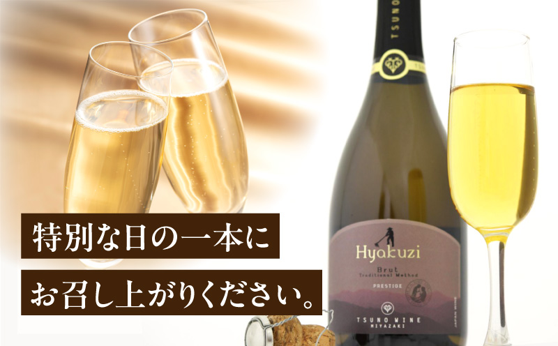 【数量限定】Hyakuzi ブリュット トラディショナル メソッド(計1本) 酒 飲料 アルコール 国産_T014-0085