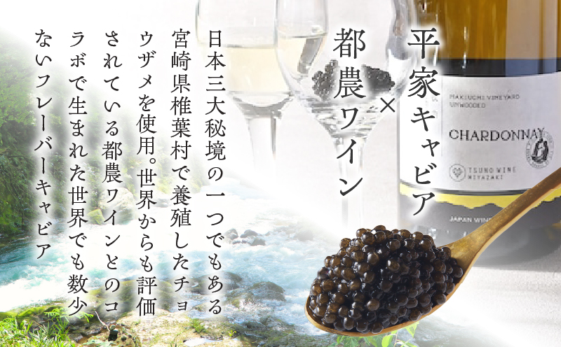 【2週間以内発送】都農ワインキャビア(計20g) 魚 魚介 魚卵 国産_T047-0031