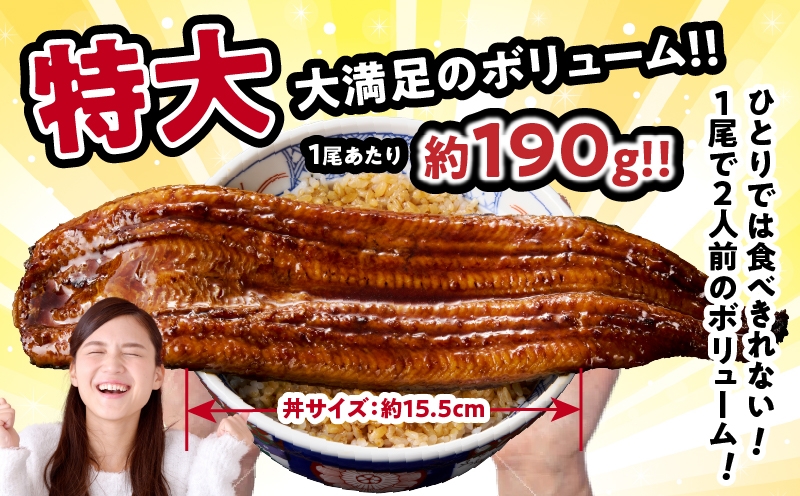 うなぎ蒲焼特大2尾(さんしょう・たれ付き)計380g以上 鰻 魚 魚介 加工品 国産_T026-0061