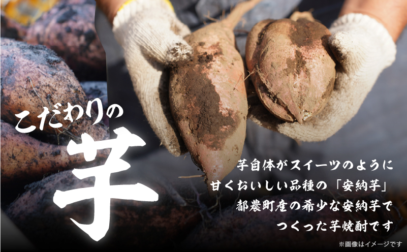 【2週間以内発送】幻の本格芋焼酎『尾鈴芋凰(おすずいもおう)』2本(25度) 酒 アルコール 飲料 国産_T016-0045