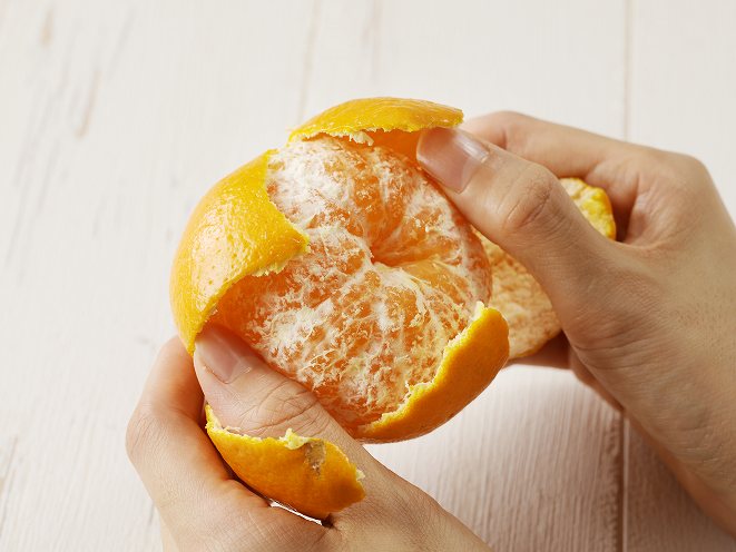 å
è¡äºçŽâªæ°ééå®â«åžå°ãªææ©ãã¯ãã¿ãèš5kg ãã«ãŒã æç© ææ© ã¿ãã åœç£_T008-001