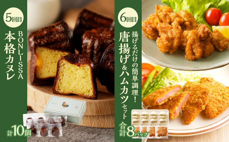 ≪12か月お楽しみ定期便≫都農町定期便(竹) 肉 加工品 デザート 国産_T999-0093