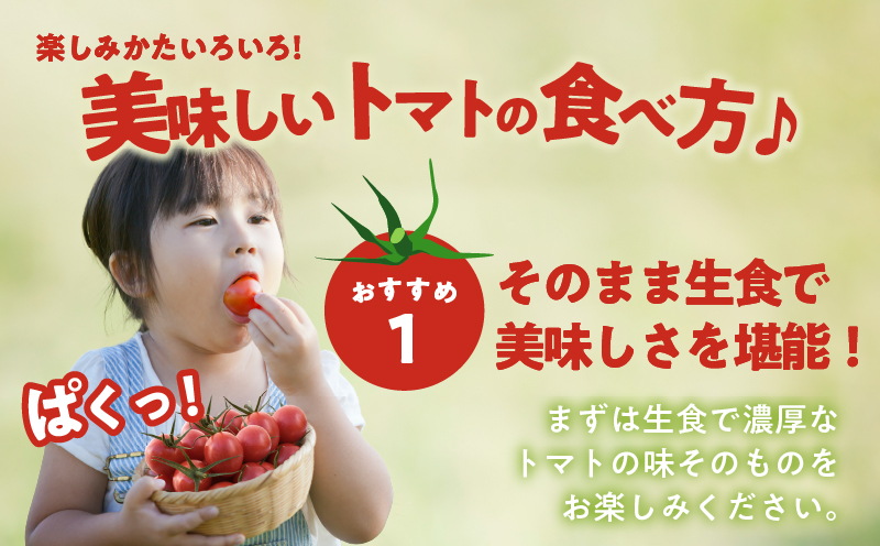 å
è¡äºçŽâªæééå®â«ãªãªãžãã«ãã©ã³ãããã«ãŒãããã ãããèš2kg ããããã éè ãµã©ã åœç£_T047-0041