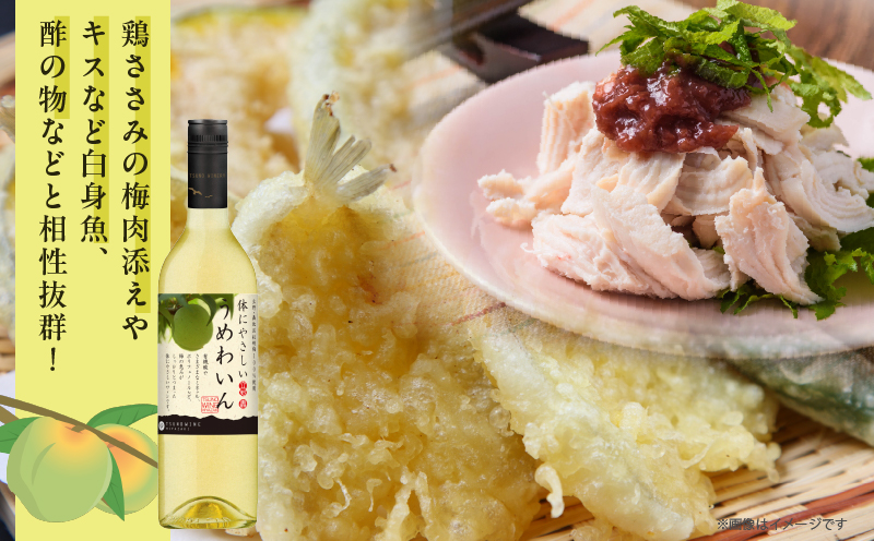 ãæ°ééå®ãããããã(èš1æ¬) é
飲æ ã¢ã«ã³ãŒã« åœç£_T014-029