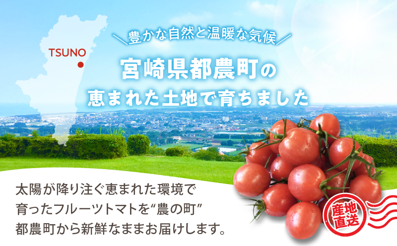 å
è¡äºçŽâªæééå®â«ãªãªãžãã«ãã©ã³ãããã«ãŒãããã ãããèš2kg ããããã éè ãµã©ã åœç£_T047-0041