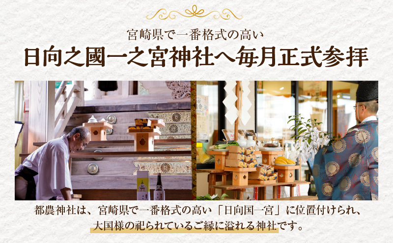 【2週間以内発送】日向之國一之宮神社奉納菓子「都の金菓（計5個）」スイーツ お菓子 国産_T038-010