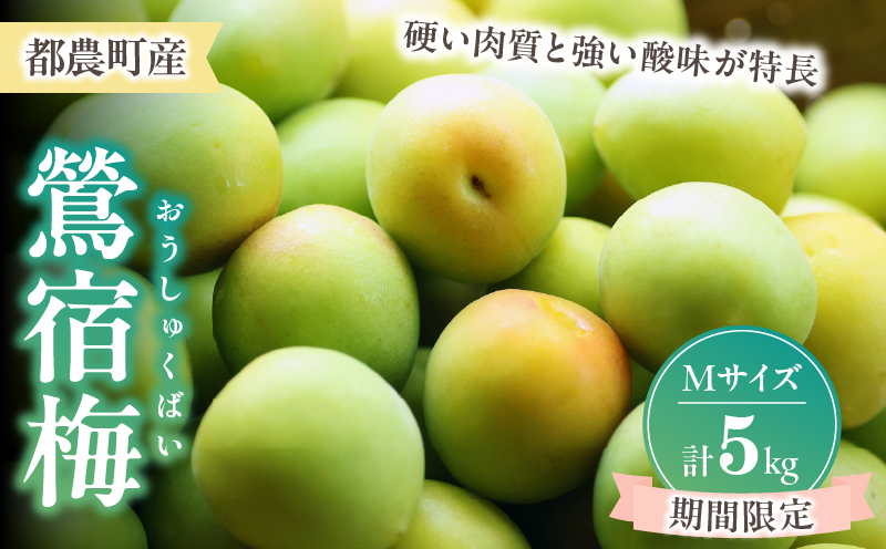 先行予約≪期間限定≫都農町産「鶯宿梅(Mサイズ)」計5kg 梅 梅干し 果物 国産_T008-013